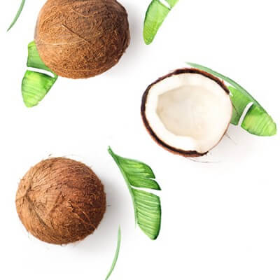 Coconut Flavour Oil