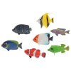 tropical fishes
