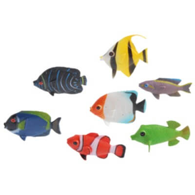 tropical fishes